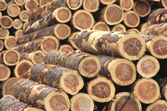 世界から選りすぐった木材を提供。
